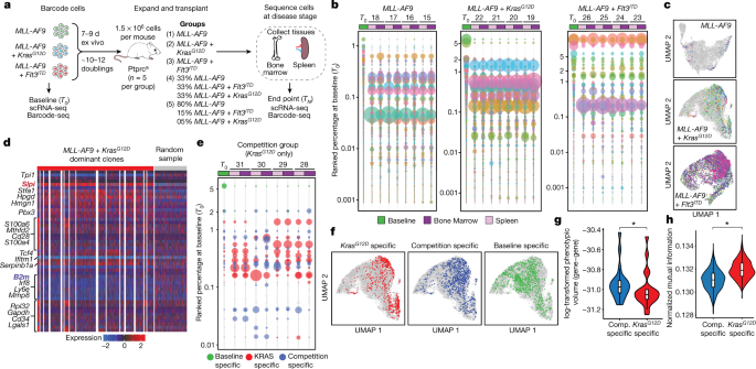 Non-genetic determinants of malignant clonal fitness at single-cell resolution