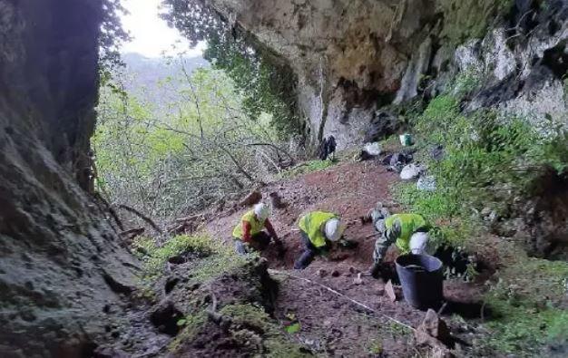 Badger searching for food rather uncovers ancient treasure