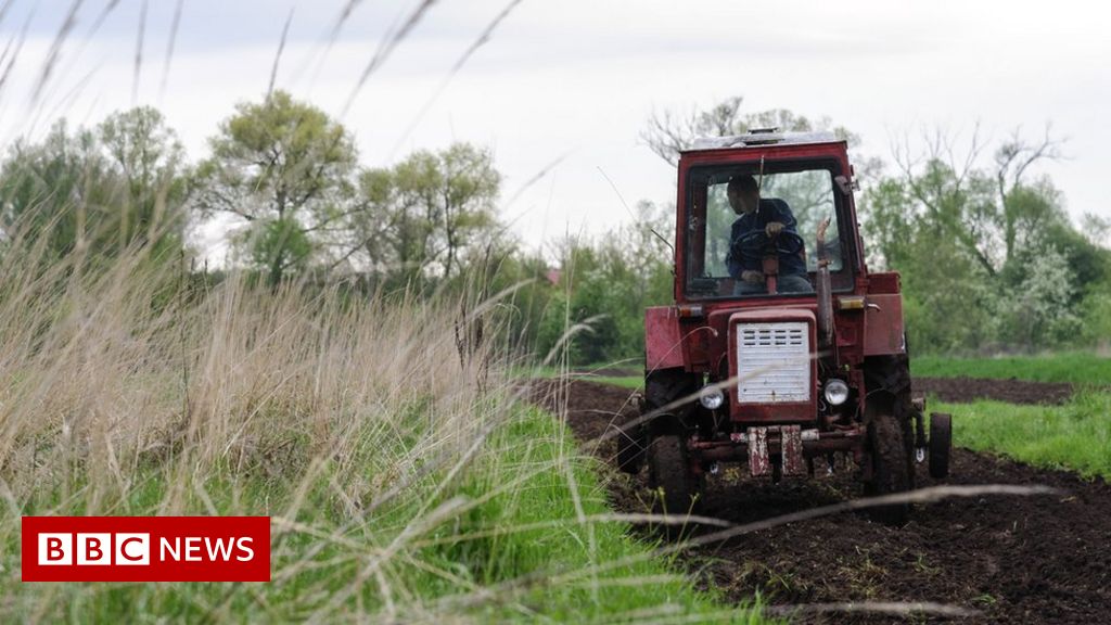 Ukraine intrusion might trigger worldwide food crisis, UN cautions
