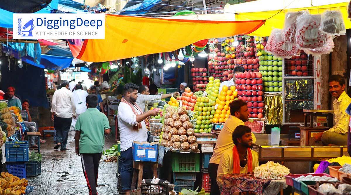 Why EAT-Lancet’s diet to save the planet remains inaccessible in rural India