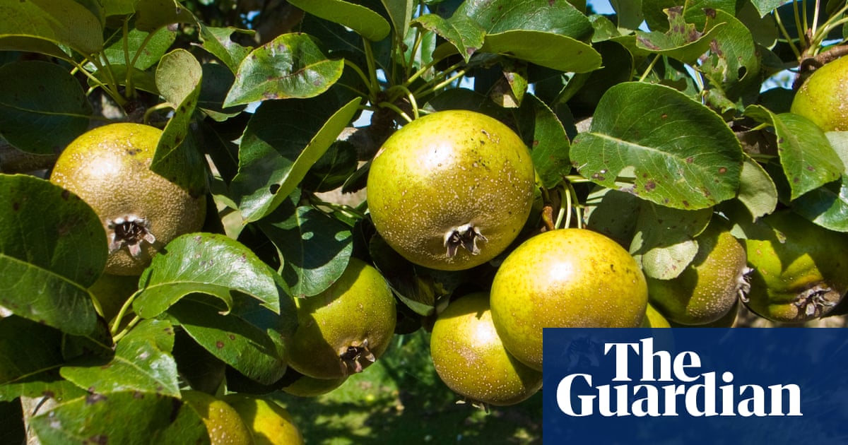 Endangered foods: why our diet is narrower than ever – and these seven foods urgently need saving