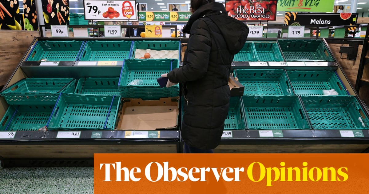 Blame the weather and Brexit. But there’s more to this food crisis | Jay Rayner