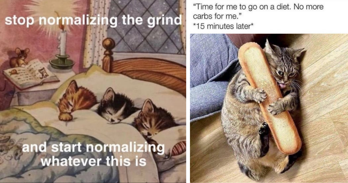 24 Meowtivational Monday Memes To Fuel Your Fitness Goals With the Help of Some Legitimately Lazy Felines