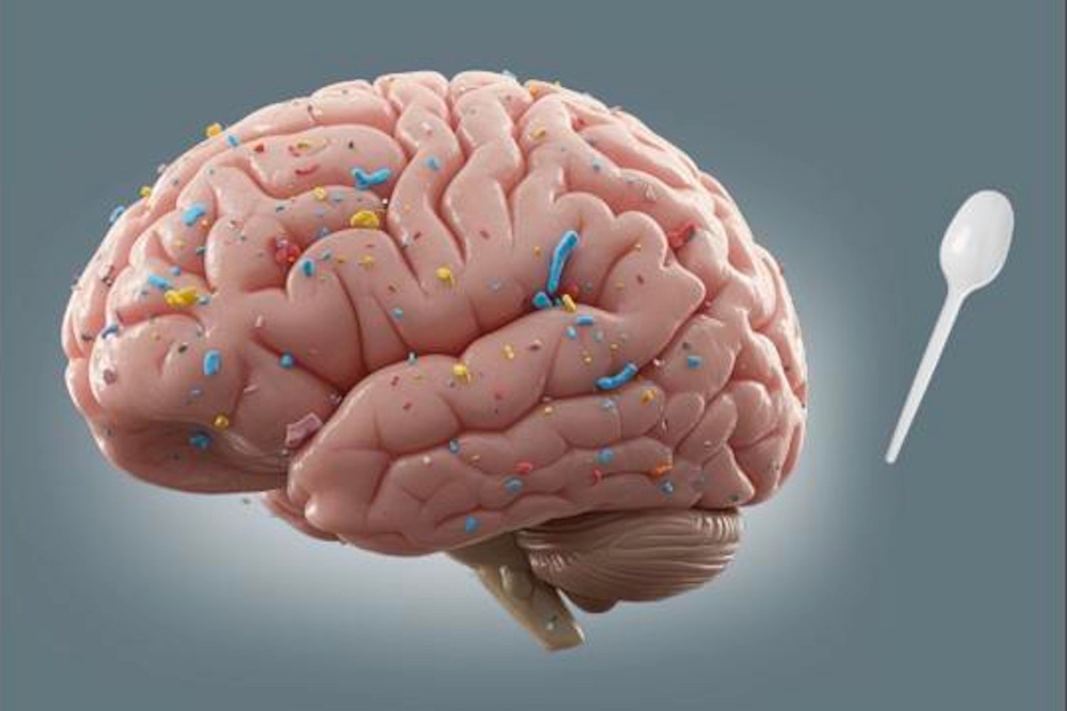 Junk Food Is Filling Our Brains With Microplastics, Raising Mental Health Risks, Scientists Warn