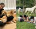 Puppies, ponies and Pilates: I tried some of Singapore’s most unconventional fitness classes